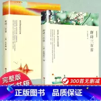 唐诗三百首+宋词三百首[中国文联出版社] [正版]唐诗三百首 宋词三百首 全集完整版无删减300首 带注释译文赏析附插图