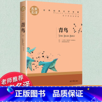 世界经典 文学名著[青鸟] [正版]青鸟书籍 四年级课外书必读 世界经典文学名著名家名译 小学生课外阅读书籍五六年级儿童