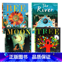 [正版]大自然的秘密4册合售月亮Moon河流The River蜜蜂Bee四季绘本Tree Seasons Come G