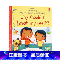 [正版]Usborne出品 问与答翻翻书 我为什么要刷牙 Why Should I Brush My Teeth 英文