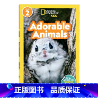 [正版]美国国家地理分级阅读读物 可爱的动物 英文原版绘本 National Geographic Kids Leve