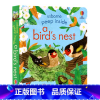 [正版]Usborne英文原版绘本 偷偷看里面系列 鸟巢英语读物 Peep Inside a Bird's Nest