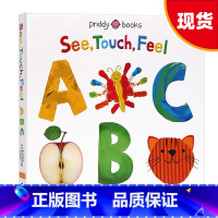 [正版]触摸书字母 英文原版 See Touch Feel ABC 英文版进口原版单词学习书籍 幼儿英语启蒙纸板书