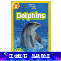 [正版]英文原版绘本 National Geographic Kids Level2:Dolphins 海豚 国家地理