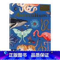 [正版]欢迎来到博物馆系列 动物博物馆插图书 英文原版 Animalium 青少年英语科普读物 英文版 进口原版书籍