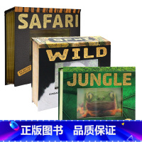 [正版]光与影视觉书系列3册草原丛林动物 会动的3D立体翻翻书Wild/Jungle/Safari Photicula