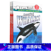 [正版]I can read 系列 英文原版绘本Amazing sharks gorillas whales Tige