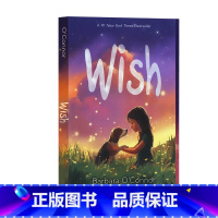 [正版]希望英文原版 wish 获奖读物儿童友谊故事中级英语课外阅读Square Fish出版Barbara O