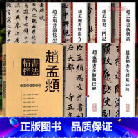 [正版]学海轩 共6本赵孟頫书法二彩色放大本毛笔字帖碑帖前后赤壁赋秋兴诗三门记帝师胆巴碑仇锷墓志铭妙严寺记楷行草隶篆书