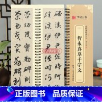 [正版]学海轩 智永真草千字文全文收录近距离临摹字卡书法示范活页字卡放大版真草毛笔字帖初学者临摹范本楷书草书高清对照本