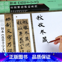 [正版]学海轩 智永真草千字文 近距临摹字卡 原帖放大附简体旁注 可散页使用真书楷书草书毛笔书法练字帖古贴帖帖革命河南