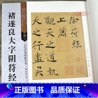 [正版]学海轩 褚遂良大字阴符 古代碑帖善本 繁体旁注 简体通篇释读 褚体楷书毛笔书法练字帖软笔古贴图书教程 临摹赏析