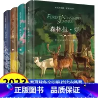 森林报精装版[全套4册] [正版]森林报春夏秋冬全四册 全集全套4册原著四年级上册小学生课外书阅读书籍三年级下册四五年级