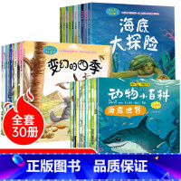 [正版]幼儿科普类绘本 儿童故事书6岁以上 海底世界3一4到7-8岁幼儿园奇妙的科学故事大全益智启蒙书籍学前图画书百科