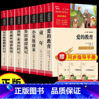 [全套]六年级上下册必读7册 [正版]鲁滨逊漂流记六年级下册必读的课外书原著完整版书目爱丽丝梦游仙境漫游奇尼尔斯骑鹅旅行