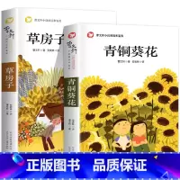 精装2册[青铜葵花+草房子] [正版]老师青铜葵花曹文轩原著 四年级青铜葵花 青铜和葵花 青铜与葵花 青铜葵花全套 青铜