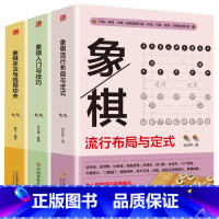 [全3册]杀法与残局+入门与技巧+布局与定式 [正版]全3册 象棋杀法与残局功夫象棋入门与技巧象棋流行布局与定式中国象棋