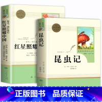 红星照耀中国+昆虫记[赠考点手册] [正版]红星照耀中国昆虫记 共2册原著完整版 人教版八年级上册必读初中红心闪耀阅读书