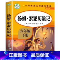 汤姆索亚历险记 [正版]汤姆索亚历险记全集完整版 快乐读书吧6年级下册必读原著老师经典必读的课外书 适合小学生六年级下学