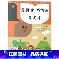 [上册]看拼音写词语学写字 小学一年级 [正版]看拼音写词语一年级上册语文课堂同步专项训练生字注音组词造句 小学1年级上