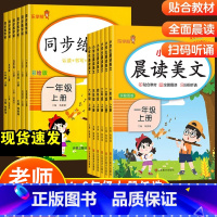 [2本]小学生晨读美文+同步练字帖 一年级上 [正版]2023新版小学生语文晨读美文人教版一年级二年级上册三四五六年级晨