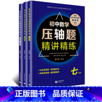 七八九年级 压轴题 数学 初中通用 [正版]初中数学压轴题七八九年级练习题 精讲精练 初中思维训练初一初二初三数学辅导资