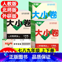 生物学(人教版) 八年级下 [正版]2024大小卷七八九年级上册全一册语文数学英语物理化学生物历史政治下册人教北师外研版