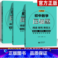 [正版]初中数学压轴题七八九年级+中考练习题 初一二三数学思维训练新运算符号图形函数提升解题技巧练习册 789年级中考