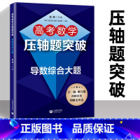 [正版]高考数学压轴题导数综合大题 高中高三数学解题思维训练练习册 提升解题技巧高考冲刺提升辅导资料书 上海教育出版社