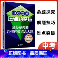 [正版]中考数学练习题压轴题突破 坐标系内的几何代数综合大题 初中数学思维强化训练 上海教育出版社 提升解题技巧中考冲