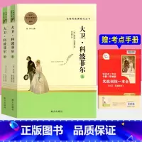 大卫·科波菲尔 2本]上册+下册 [正版]大卫 科波菲尔上册下册2本套查尔斯 狄更斯著完整版高中语文阅读名著书籍人教版高