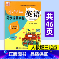 英语 人教版三起点 五年级下 [正版]小学英语同步练字帖五年级下册 人教版三起点PEP 小学生写字课课练硬笔钢笔楷书临摹