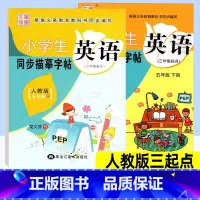 英语 人教版三起点 小学五年级 [正版]小学英语同步练字帖五年级上册下册 人教版三起点PEP 小学生写字课课练硬笔钢笔楷