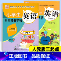 英语 人教版三起点 小学六年级 [正版]小学英语同步练字帖六年级上册下册 人教版三起点PEP 笔墨先锋小学生写字课课练硬