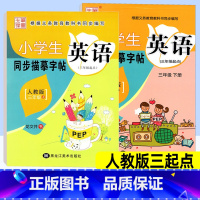 英语 人教版三起点 小学三年级 [正版]小学英语同步练字帖三年级上册下册 人教版三起点PEP 笔墨先锋小学生写字课课练硬