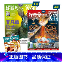 2023年9期[非凡的兔子+火山威力有多大] [正版]单期 好奇号2023年9/8/7/6/5/4/3/2/1月 202