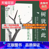 [正版]树犹如此2022 白先勇亲定选本 精装珍藏版 代表作寂寞的十七岁 台北人 纽约客孽子中国现当代文化散文书籍