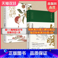 [正版]品牌直营长安的荔枝+显微镜下的大明 马伯庸套装2册 历史小说 见微系列代表作 明代档案 大医长安十二时辰风起陇