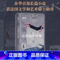 [正版] 在细雨中呼喊 2023新版(余华长篇!当我们凶狠地对待这个世界时,这个世界突然变得温文尔雅了)书籍