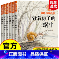 [全6册]杨红樱科学童话系列 [正版]全3册 冰心儿童文学全集原著三部曲繁星春水寄小读者橘小桔灯三四五六年级小学生课外必