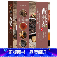 [正版] 普洱茶品鉴 林婧琪著 一本书认识普洱茶 优雅醇和 普洱茶手册 普洱茶茶道 茶叶选购指南 茶艺大全 艺术收藏鉴