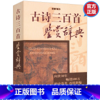 [正版]3本45元 古诗三百首鉴赏辞典文通版 鉴赏辞典品牌再续新推古代经典系列传统文本现代现代赏析上海辞书出版社书