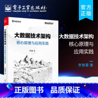 [正版] 大数据技术架构:核心原理与应用实践 计算机编程初学者了解大数据技术入门指南