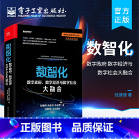 [正版] 数智化:数字政府、数字经济与数字社会大融合 数智化转型 数智化理论实践数智化技术方法特征指引 产业互联网书籍