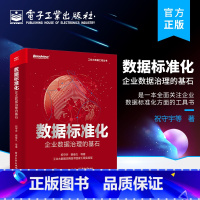 [正版] 数据标准化 企业数据治理的基石 企业数据标准化方面工具书 认识数据标准化意义组织进行数据标准化的具体方案和工