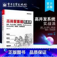 [正版] 高并发系统实战派 集群 Redis缓存 海量存储 Elasticsearch RocketMQ 微服务 持续