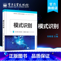 [正版] 模式识别 常用方法 常见技巧 应用案例机器视觉图像识别 视频目标检测与跟踪 语音识别 生物特征识别和医学图像