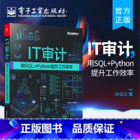 [正版] IT审计:用SQL+Python提升工作效率 数据可视化技巧图书籍 Python基础与Python实战技巧