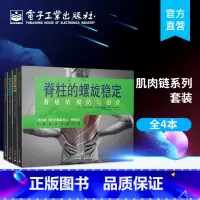 [正版]肌肉链套装 共4册 肌肉链+脊柱的螺旋稳定+螺旋肌肉链训练 治疗椎间盘突出和脊柱侧弯+治疗脊柱侧弯 过度前后凸