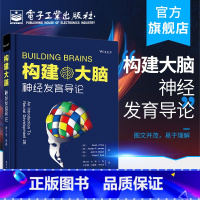 [正版] 构建大脑:神经发育导论 戴维·普赖斯 神经活动连接神经元凋亡细胞增殖神经细胞类型生物结构 临床医学书籍